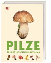 Produktbild: Pilze
