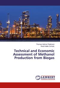 Produktbild: Technical and Economic Assessment of Methanol Production from Biogas