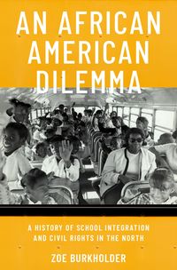 Produktbild: An African American Dilemma