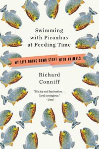 Produktbild: Swimming with Piranhas at Feeding Time