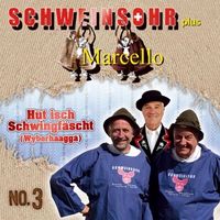 Produktbild: H&uuml;t isch Schwingf&auml;scht No.3