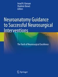 Produktbild: Neuroanatomy Guidance to Successful Neurosurgical Interventions