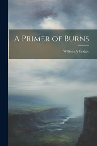 Produktbild: A Primer of Burns