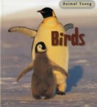 Produktbild: Birds