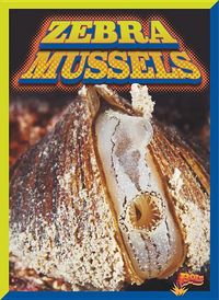 Produktbild: Zebra Mussels