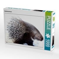 Produktbild: CALVENDO Puzzle Stachtelschwein | 1000 Teile Lege-Gr&ouml;&szlig;e 64x48cm Foto-Puzzle f&uuml;r gl&uuml;ckliche Stunden