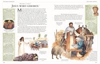 Die große illustrierte Kinderbibel
