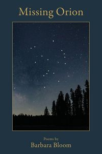 Produktbild: Missing Orion