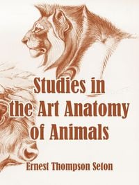 Produktbild: Studies in the Art Anatomy of Animals