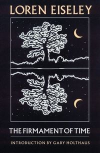 Produktbild: The Firmament of Time