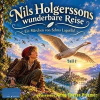 Produktbild: Nils Holgerssons wunderbare Reise