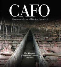 Produktbild: Cafo
