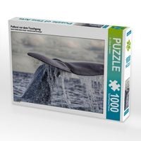 Produktbild: CALVENDO Puzzle Pottwal vor dem Tauchgang | 1000 Teile Lege-Gr&ouml;&szlig;e 64x48cm Foto-Puzzle f&uuml;r gl&uuml;ckliche Stunden