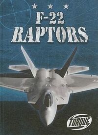 Produktbild: F-22 Raptors