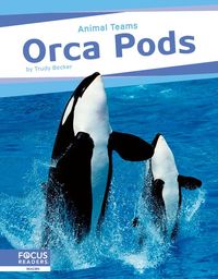 Produktbild: Orca Pods