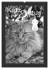 Produktbild: Katz & Maus (Wandkalender 2026 DIN A2 hoch), CALVENDO Monatskalender