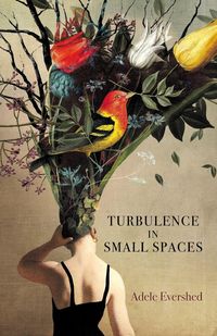 Produktbild: Turbulence in Small Spaces