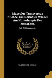 Produktbild: Musculus Transversus Nuchae, Ein Normaler Muskel Am Hinterhaupte Des Menschen: (mit Abbildungen.)...