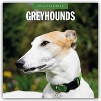 Produktbild: Greyhound &ndash; Windhund 2026 &ndash; 16-Monatskalender