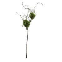 Produktbild: HTI-Living Strauch mit Vogelnestern, Flora, Kunstpflanze