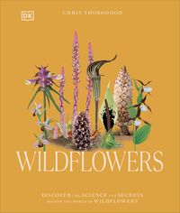 Produktbild: Wildflowers