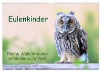 Produktbild: Eulenkinder - Kleine Waldohreulen entdecken die Welt (Wandkalender 2026 DIN A3 quer), CALVENDO Monatskalender