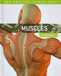 Produktbild: Muscles