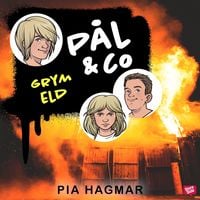 Produktbild: P&aring;l & Co 4 &ndash; Grym eld