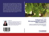 Produktbild: Callogenesis and Micropropagation of Grape (Vitis Vinifera L.)