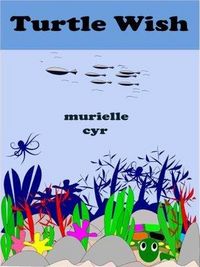Produktbild: Turtle Wish