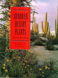 Produktbild: Sonoran Desert Plants