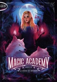 Produktbild: Magic academy. Tome 9