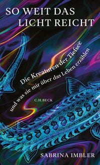Produktbild: So weit das Licht reicht