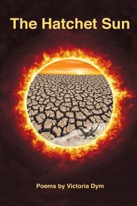 Produktbild: The Hatchet Sun