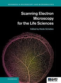 Produktbild: Scanning Electron Microscopy for the Life Sciences