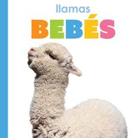 Produktbild: Llamas Beb&eacute;s