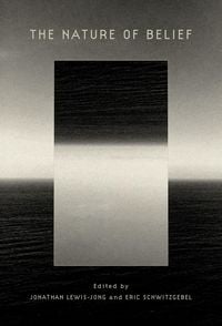 Produktbild: The Nature of Belief