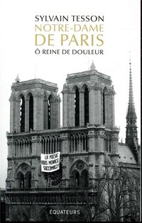 Bild vom Artikel Notre-Dame de Paris vom Autor Sylvain Tesson