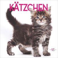 Produktbild: K&auml;tzchen