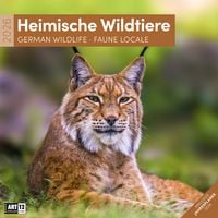 Produktbild: Heimische Wildtiere Brosch&uuml;renkalender 2026 - 30x30 - Art12