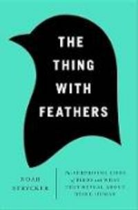 Produktbild: THING W/FEATHERS