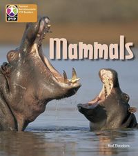 Produktbild: PYP L6 Mammals 6PK