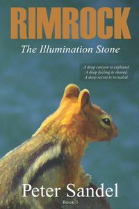 Produktbild: The Illumination Stone