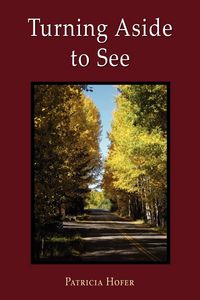 Produktbild: Turning Aside to See