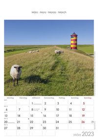 Norddeutschland 2023 - Bild-Kalender 23,7x34 cm - Regional-Kalender - Wandkalender - mit Platz für Notizen - Alpha Edition