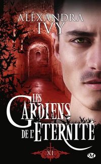 Produktbild: Les gardiens de l eternite, t17: xi