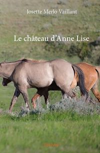 Produktbild: Le chateau d anne lise