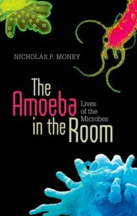 Produktbild: Money, N: Amoeba in the Room