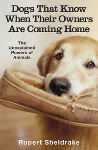 Produktbild: Dogs That Know When Their Owners Are Coming Home