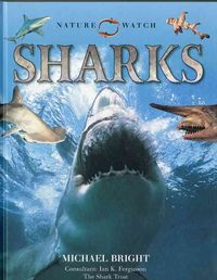 Produktbild: Sharks